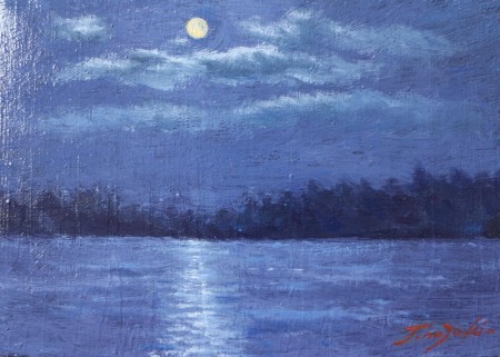 高原の湖　夜半